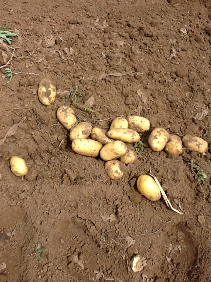 JUP_C4LXF{ZAQLKR]`0OQA5